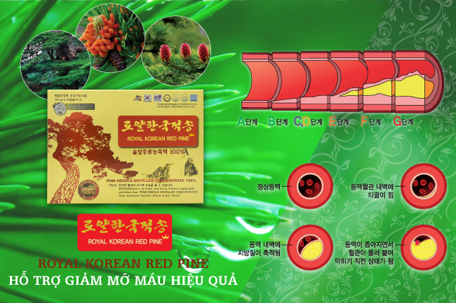 Tinh dầu thông đỏ Chính phủ - Royal Korean Red Pine