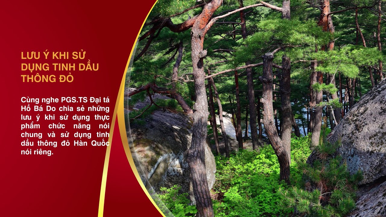 Lưu ý khi sử dụng tinh dầu thông đỏ hàn quốc hàng chính phủ Lưu ý khi sử dụng tinh dầu thông đỏ hàn quốc hàng chính phủ