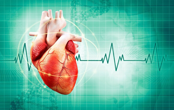 Bệnh lý về tim mạch - Nhóm thuốc điều trị bệnh