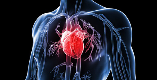 Các yếu tố làm tăng nguy cơ mắc bệnh lý tim mạch