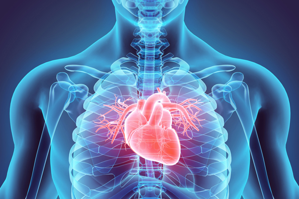 Bệnh tim có di truyền không?