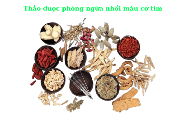 Sử dụng thảo dược để phòng ngừa nhồi máu cơ tim