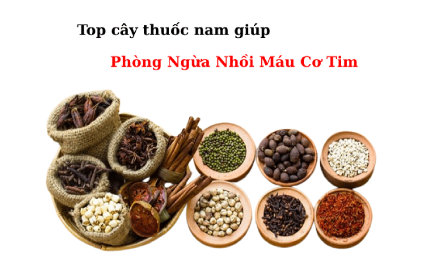 Top những thảo dược giúp phòng ngừa nhồi máu cơ tim hiệu quả