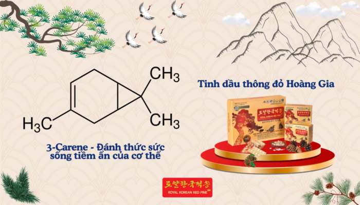 Hoạt chất 3-Carene: Bí quyết chăm sóc sức khỏe tự nhiên